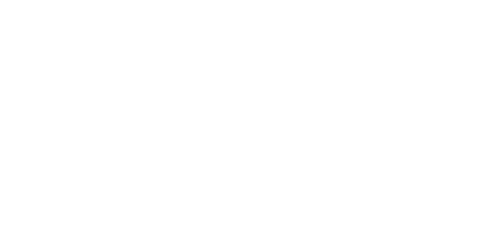 Blue Skies Veterinary Cardiology